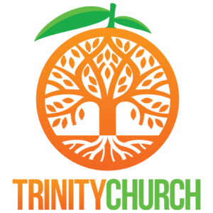 trinlogo_1024x1024_no_tag